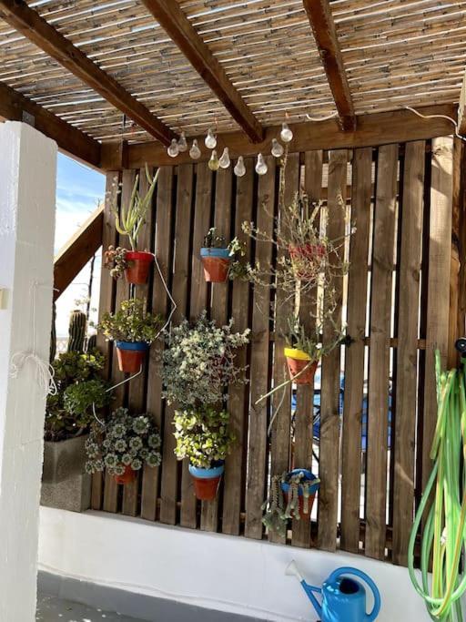 Villa La Casa Del San Anton Níjar Exterior foto